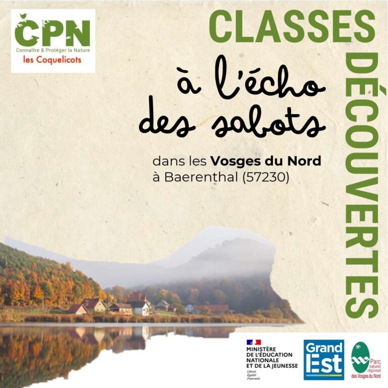 Classe de découverte 57